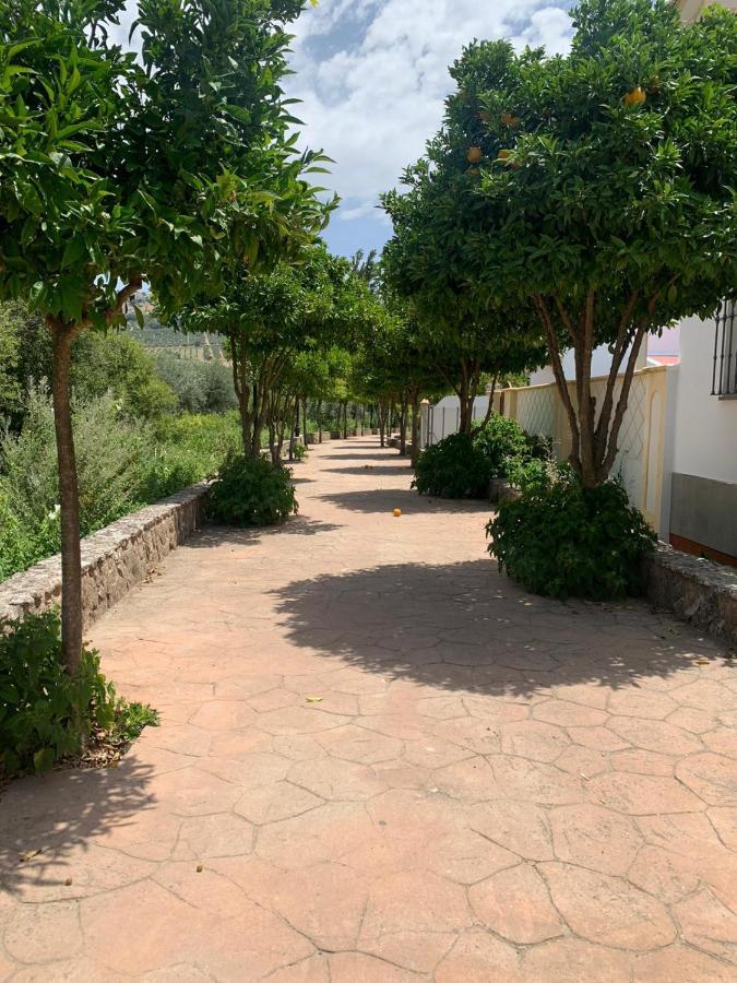 Apartamento En Cuevas Del Becerro Extérieur photo